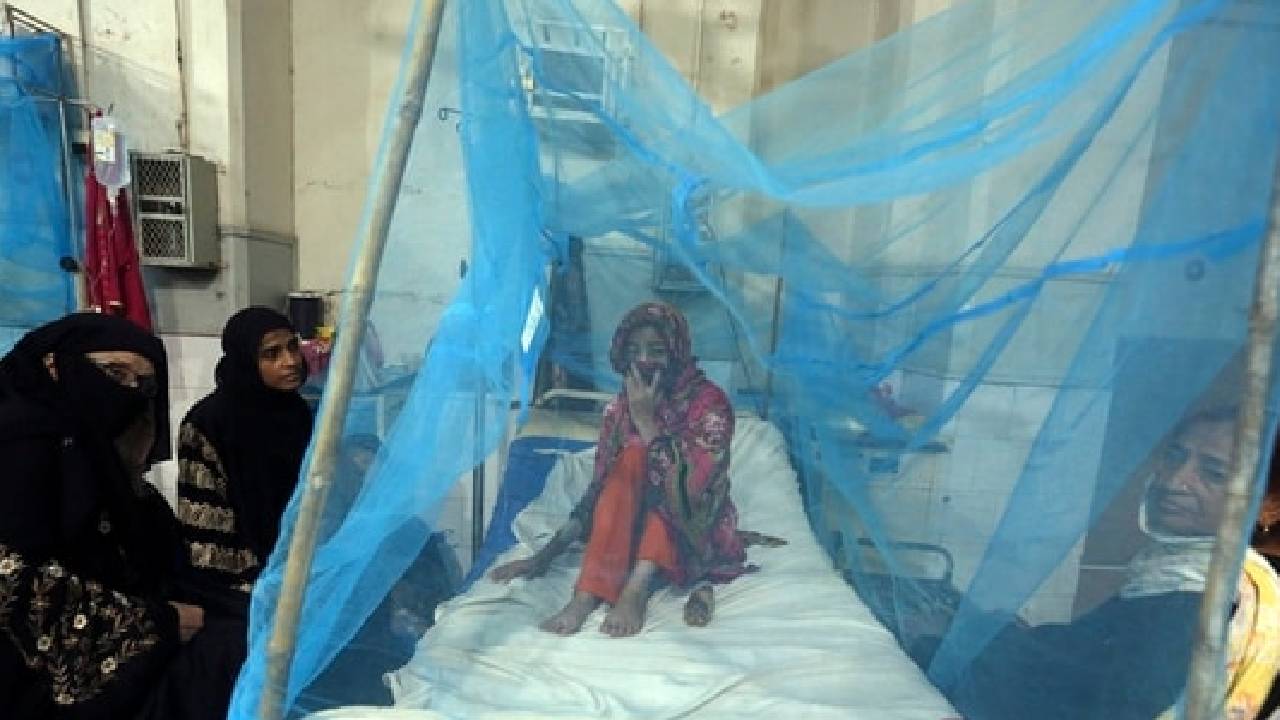 Pakistan: పాకిస్తాన్‌లో డెంగ్యూ కలకలం.. ఈ ఏడాది 30 వేలకు పైగా కేసులు