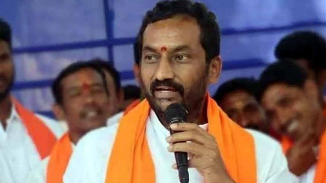 Raghunandan Rao: మెదక్ ఎంపీ రఘునందన్‌ రావుకు హైకోర్టులో ఊరట..