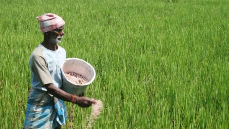 Gujarat Farmer : రైతులకు రూ.630కోట్లు ప్రకటించిన ప్రభుత్వం