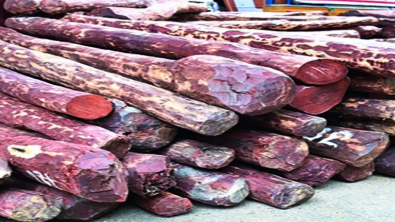 Red Sandalwood: ఫామ్‌ హౌస్‌లలోని సెప్టిక్ ట్యాంకుల్లో ఎర్రచందనం.. నలుగురు అరెస్ట్