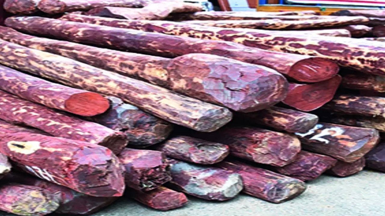 Red Sandalwood: ఫామ్‌ హౌస్‌లలోని సెప్టిక్ ట్యాంకుల్లో ఎర్రచందనం.. నలుగురు అరెస్ట్