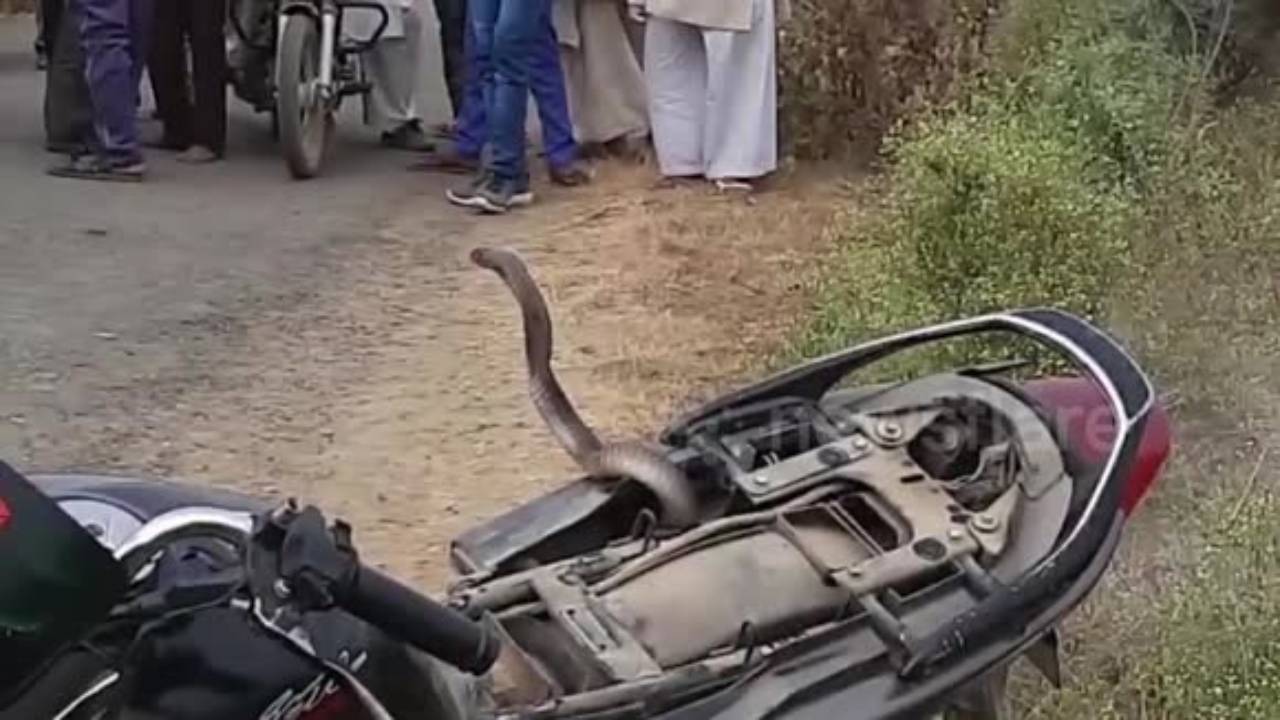 Snake in Bike: బైక్ లో నాగుపాము.. తర్వాత ఏమైందంటే?