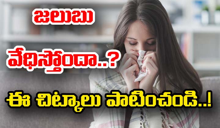 Winter Tips : చలికాలంలో జలుబు తగ్గేదెలా?.. ఈ చిట్కాలు పాటిస్తే సరి..!