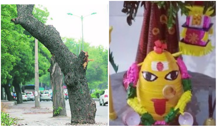 Goddess Appear in Neem Tree: వేపచెట్టుకి అమ్మవారి ఆకారం.. ఎక్కడంటే?