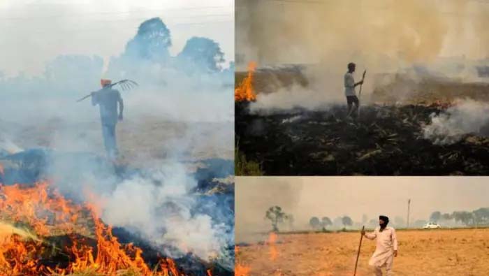 Government of Bihar: పొలాల్లో ఆ..పనిచేస్తే సహించేది లేదు