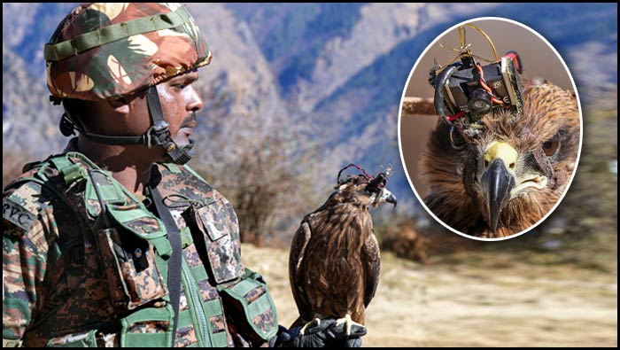 Indian Army Kite: భారత సైన్యం కొత్త ఆయుధం.. గద్దలతో డ్రోన్లపై ధ్వజం