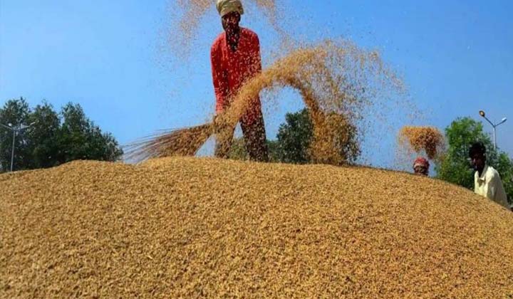 Paddy Procurement : ఎంఎస్‌పీ కంటే తక్కువ కాకుండా వరిని కొనుగోలు