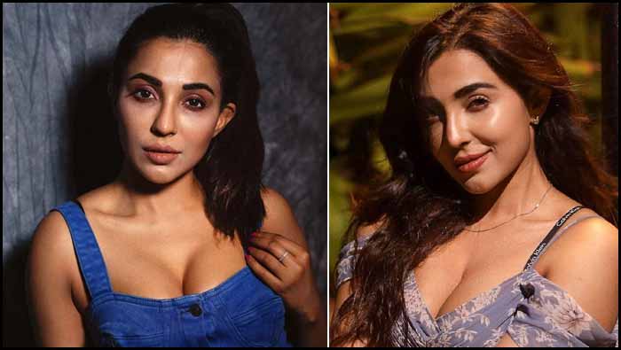 Parvathy Nair: ఇంట్లో అర్థరాత్రి మగవారితో ఆ పని.. సహించలేనన్న నటి