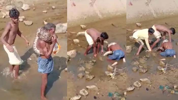 Shocking Video: తాగిన మత్తులో కొండచిలువను మెడలో వేసుకున్నాడు …