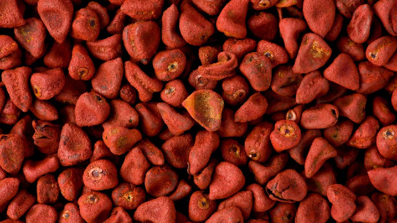 Annatto Seeds : ఈ గింజలు తింటే యవ్వనం ఉరకలేయడం గ్యారంటీ