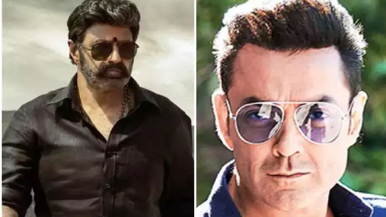 Bala Krishna : బాలయ్య సినిమాలో బాలీవుడ్ స్టార్..  మామూలుగా ఉండదైతే