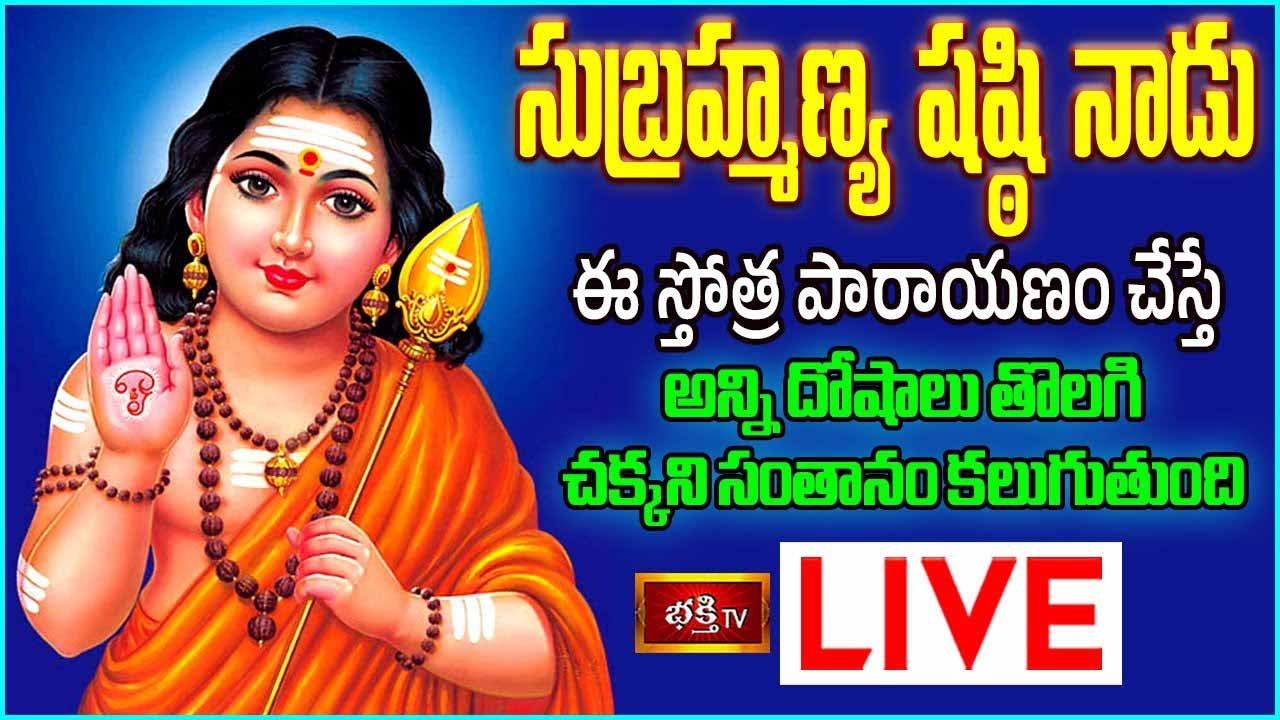 Bhakthi TV LIVE: సుబ్రహ్మణ్య షష్ఠి నాడు ఈ స్తోత్ర పారాయణం చేస్తే..?