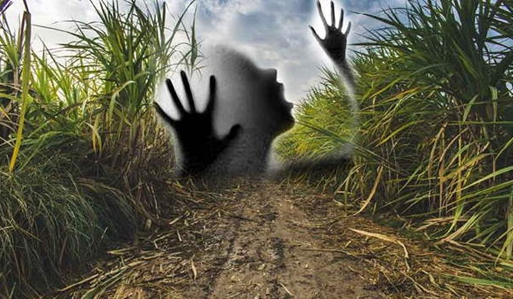 Crime News: అశ్లీల సైట్లకు బానిసై అఘాయిత్యం.. మైనర్‌పై బాలుడు అత్యాచారం