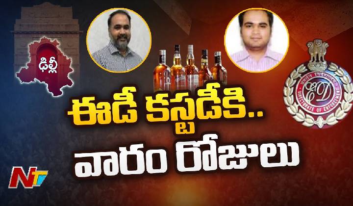 Delhi Liquor Scam: ఢిల్లీ లిక్కర్ స్కాంలో 34 మంది పాత్ర.. ఈడీ రిమాండ్ డైరీలో కీలక విషయాలు