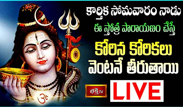 Karthika Purnima : కార్తిక పూర్ణిమ నాడు ఈ స్తోత్ర పారాయణం చేస్తే కోరిన కోరికలు వెంటనే తీరుతాయి