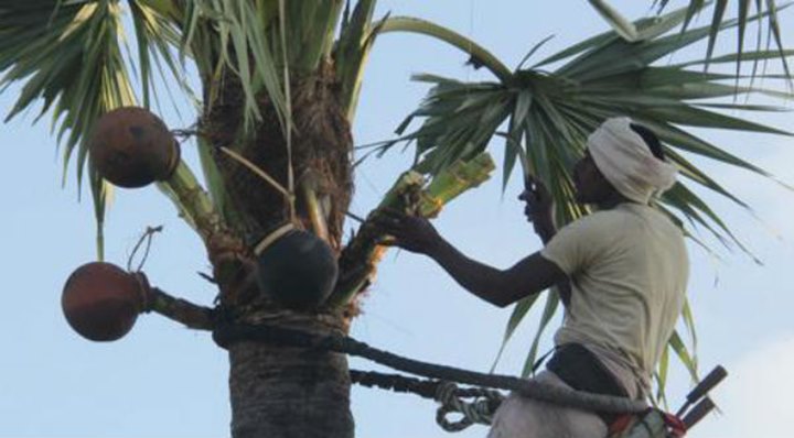 Andhra Pradesh: ఏపీ ప్రభుత్వం కీలక నిర్ణయం.. కల్లుగీత కార్మికుల కుటుంబాలకు పరిహారం రెట్టింపు