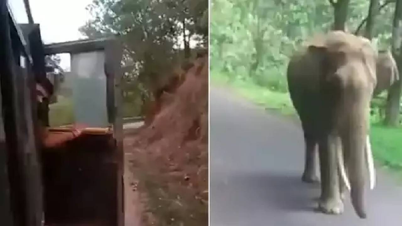 Angry Elephant: ఏనుగుకు ఎదురెళ్లారు.. ఊరుకుంటుందా 8కి.మీ పరిగెత్తించి మరీ