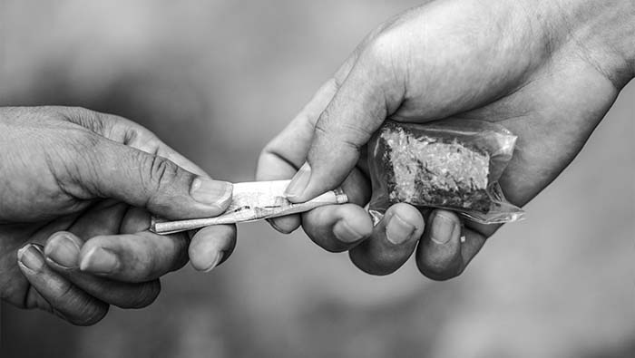 Drug Trafficking Gang: హైదరాబాదులో మరో సారి డ్రగ్స్ కలకలం.. కొరియర్‌ ద్వారా విదేశాలకు సరఫరా