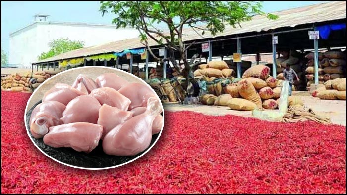 Guntur Robbery Case: కుక్కకు చికెన్ వేసి.. 20 లక్షలు దోచేసిన దొంగలు