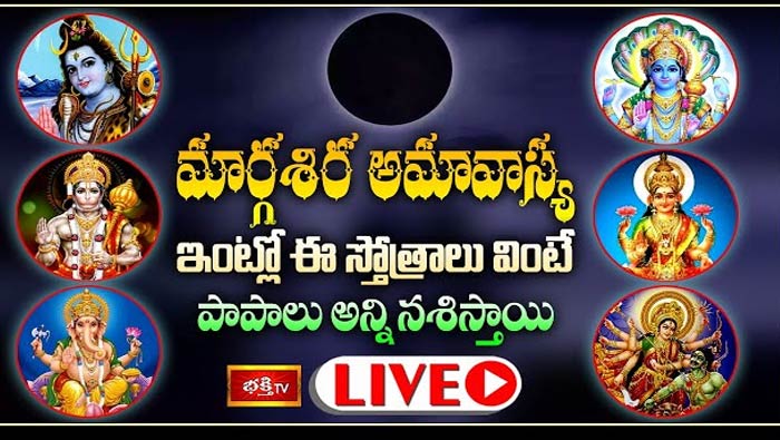 Margasira Amavasya 2022 Special LIVE: మార్గశిర అమావాస్య రోజు ఈ స్తోత్రాలు వింటే పాపాలు అన్ని నశిస్తాయి