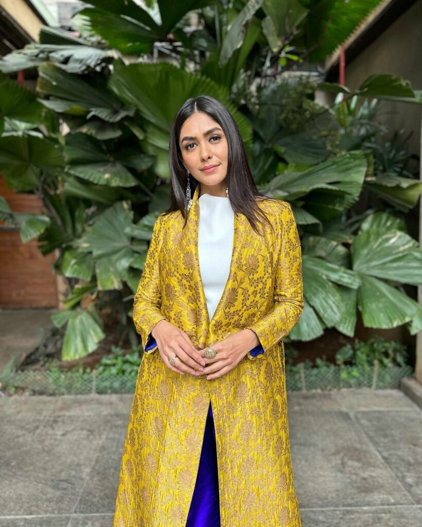 Mrunal Thakur (6)