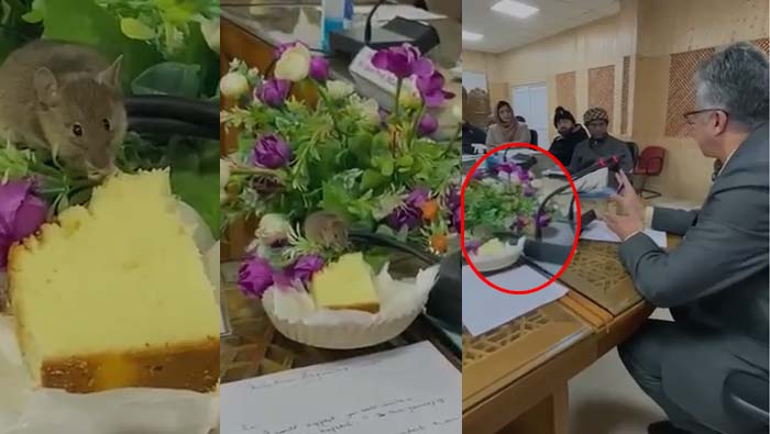 Rat: ఎలుక ఉంది జాగ్రత్త.. ప్లీజ్‌ డోంట్‌ డిస్టర్బ్‌