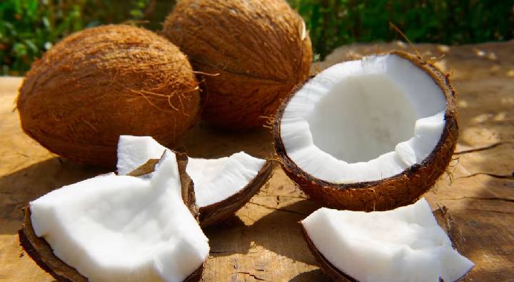 Coconut