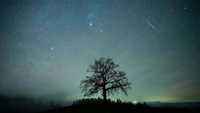 Geminid Meteor