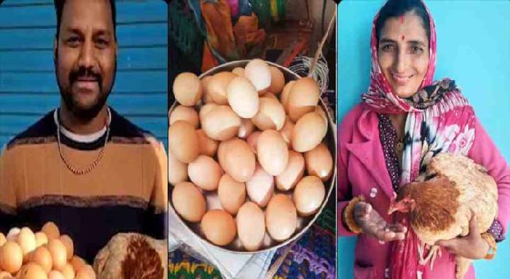 Hen laid 31Eggs in 12Hours: ఇదేం కోడిరా బాబు.. 12గంటల్లో 31గుడ్లా..  ఏం తింటుంది ఇది