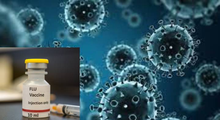 Flu Vaccine: అయ్యా.. బాబూ అంటూ సౌదీఅరేబియా రిక్వెస్టులు…. ఎందుకో తెలుసా?