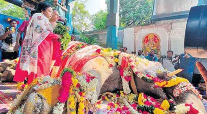 Lakshmi Elephant