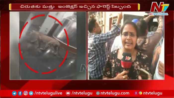 Leopard in Hetero Labs: చిరుత చిక్కింది.. ముప్పుతిప్పలు పెట్టింది..