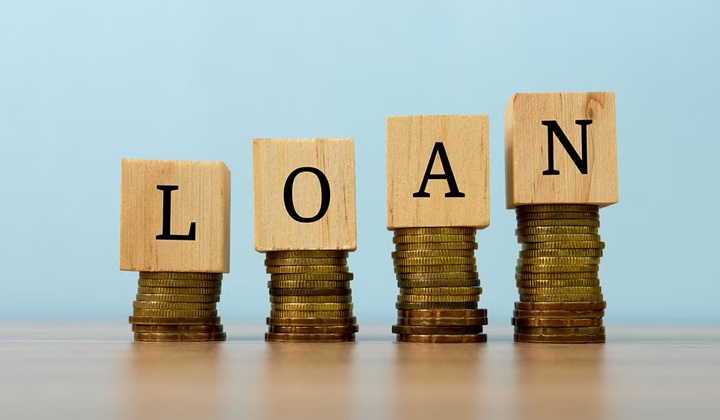 Loans