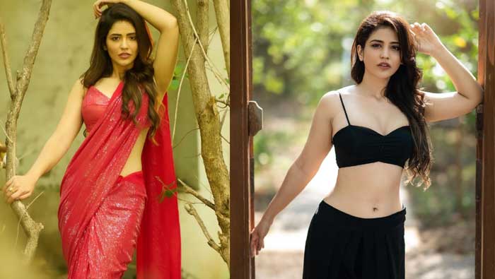 Priyanka Jawalkar: నడుమెక్కడ చేయించిందిరా బాబు..