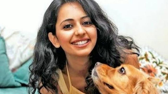 Rakul Preet Singh: రకుల్ ఇంట విషాదం.. 16 ఏళ్ల బంధం ముగిసిపోయిందంటూ పోస్ట్