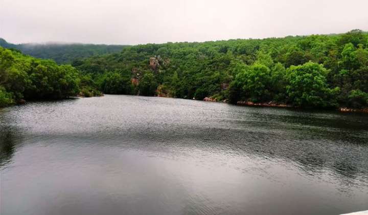 Tirumala Dams Full: తిరుమల జలాశయాలకు జలకళ.. నిండుకుండలా గోగర్భం డ్యాం