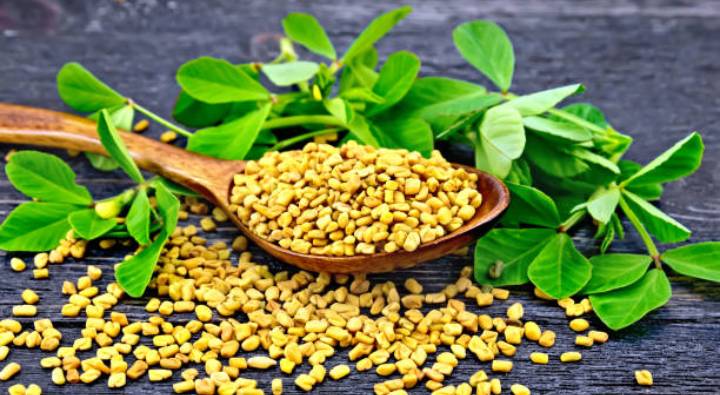 Fenugreek Seeds : ఆగకుండా అయ్యే విరేచనాలను కట్ చేసే అద్భుతమైన చిట్కా