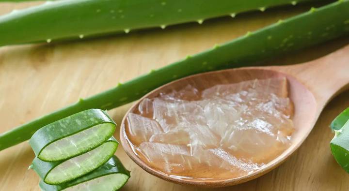 Aloe Vera : అలోవెరాతో అన్ని ప్రయోజనాలు ఉన్నాయా?