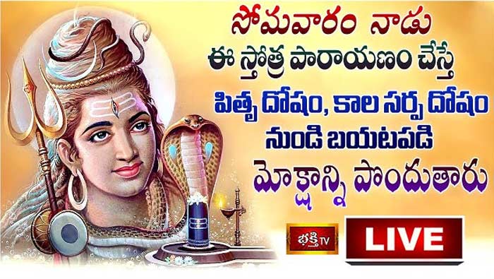 Sri Shiva Stotra Parayanam Live: నేడు ఈ స్తోత్రపారాయణం చేస్తే పితృ దోషం, కాలసర్ప దోషం నుండి బయటపడతారు..
