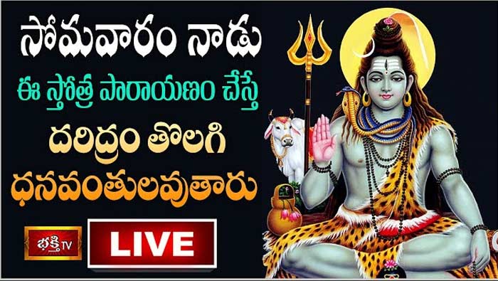 Sri Shiva Stotra Parayanam