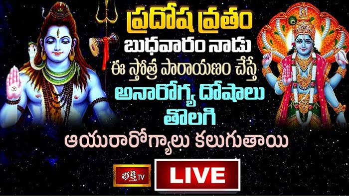 Wednesday Special Sri Shiva Stotra Parayanam Live: నేడు ఈ స్తోత్రపారాయణం చేస్తే అనారోగ్యదోషాలు తొలగిపోతాయి..