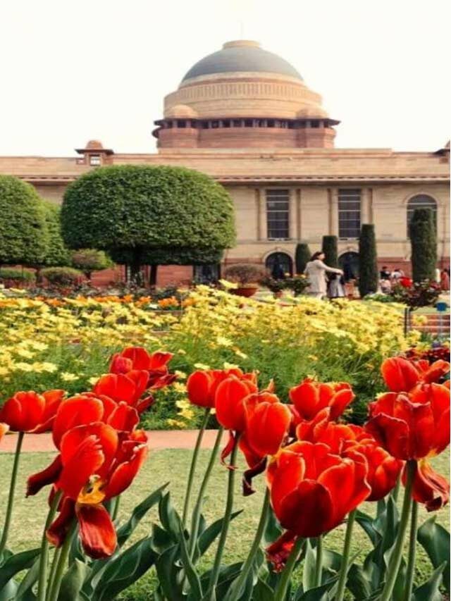 Amrit Udyan: అమృత్ ఉద్యాన్ అందాలు అదరహో..