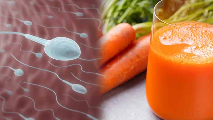 Carrot juice 2025 benefits in telugu