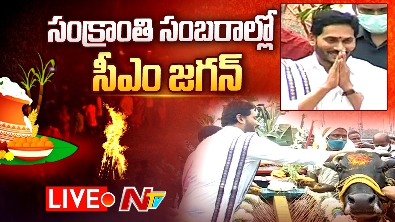 Cm Jagan Sankranthi Celebrations Live: సంక్రాంతి సంబరాల్లో సీఎం జగన్