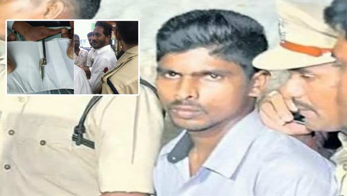 YS Jagan Attack Case: వైఎస్‌ జగన్‌పై దాడి కేసులో కోర్టు ఆసక్తికర వ్యాఖ్యలు.. బాధితుడిని విచారించరా..?