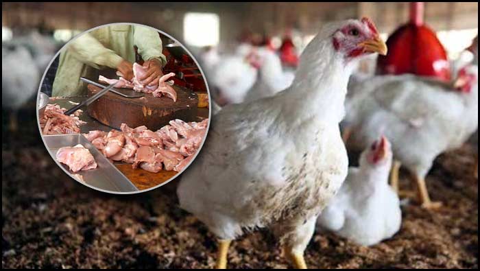 Chicken Price: చికెన్ ధర ఆల్‌టైం రికార్డ్.. కేజీ రూ.720