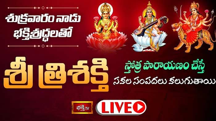 Sri Trishakti Stotra Parayanam: నేడు శ్రీ త్రిశక్తి స్తోత్ర పారాయణం చేస్తే సకల సంపదలు కలుగుతాయి