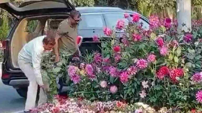 Man Steal Flower Pots : ఖరీదైన ఎస్‎యూవీ కార్లో వచ్చి..  క్యా ‘కియా’ రే