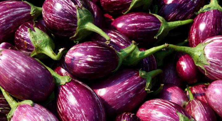 Brinjal