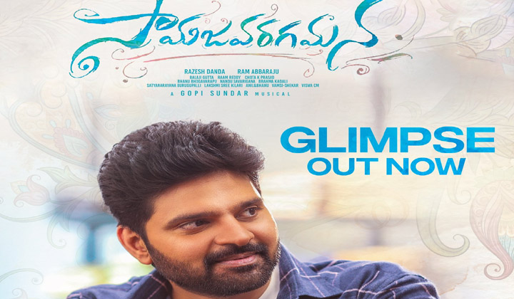 Sri Vishnu: ఇంతకీ నీకొచ్చిన ప్రాబ్లమ్ ఏంటి మావా?